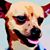 Jeffroz Moo's profile image
