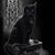 Stephanie Fitzsimonds's profile image
