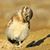 Anna Salach's profile image