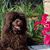 Tammy Haynes's profile image