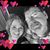 Kim Jackson Wilson's profile image