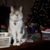 Kathy Jenuwine Kristofice's profile image