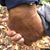 Karen Niederer's profile image