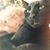 Kerri Gustowski's profile image
