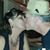 Beth Beavers's profile image