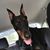Debbie McNeely Zednik's profile image