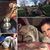 Guada Fragueiro Lecot's profile image