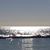 Elizabeth Gollan's profile image