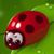 Becky Felice's profile image