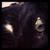 Stacy Hamacher's profile image