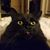 Mel Tee's profile image