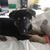 Janie Bolyn Browder Felkel's profile image