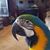 Robert Ulozas's profile image