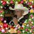Willey Frede's profile image