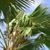 Jaimee Hollowbush Stoker's profile image