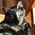 Denise Garnett's profile image