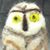 Eleanor Shepley's profile image