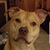 Donna Marie's profile image