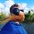 Michael Martin's profile image