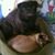 Jan Smith's profile image