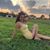 Chelsie Whitlow Ferguson's profile image