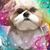 Kathy Kelley-Smith's profile image