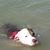 Bob Luecke's profile image