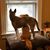 Tray Hubler McCauley's profile image