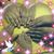Elizabeth Reyna's profile image