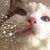 Sandra Empereur's profile image