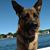 Kathy Sistare's profile image