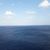 Vicki M Welch-Walters's profile image