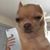 SJ Reese's profile image
