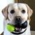 Vicki Wassenhove's profile image