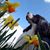 Pat Thorpe Hinchey's profile image