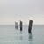 Tracey Link's profile image