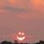 Madeline Keavy's profile image