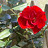 Betty's profile image