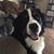 Amy Davis's profile image