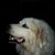 Ab-Lui Contruction's profile image