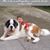 Joy Melissa Heffinger's profile image