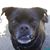 Judy Gebhardt's profile image