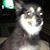 Sarah Riggs's profile image