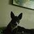 Jim Griggs's profile image
