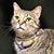 Ann Maddox's profile image