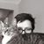 Michelle Kinney's profile image