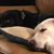 Kathie Collins's profile image