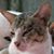 Rosemarie Tagra Gomez's profile image