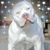 Carla Reynolds Moore's profile image