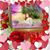 Gloria McMahan's profile image